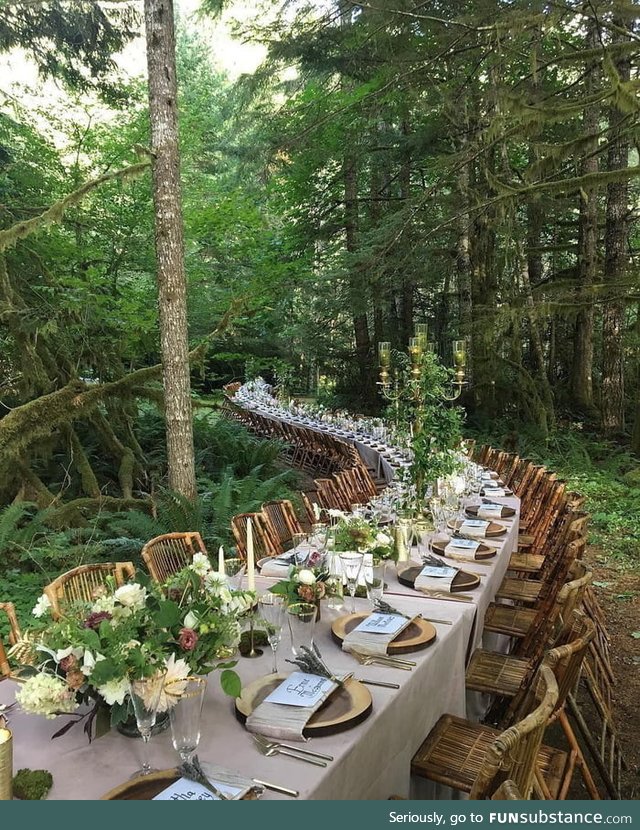 Dinner in the woods