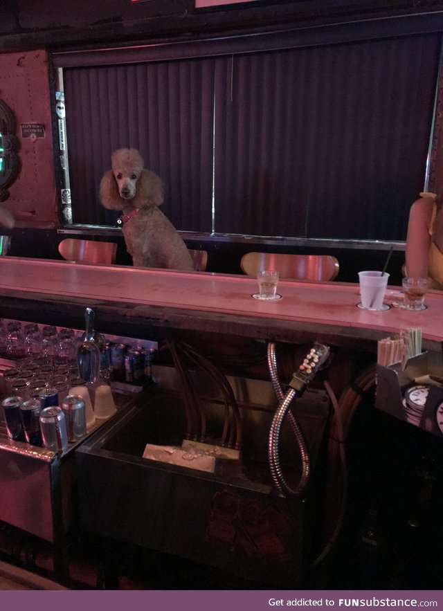 She’s been staring at me from across the bar for an hour now. Should I say hi?