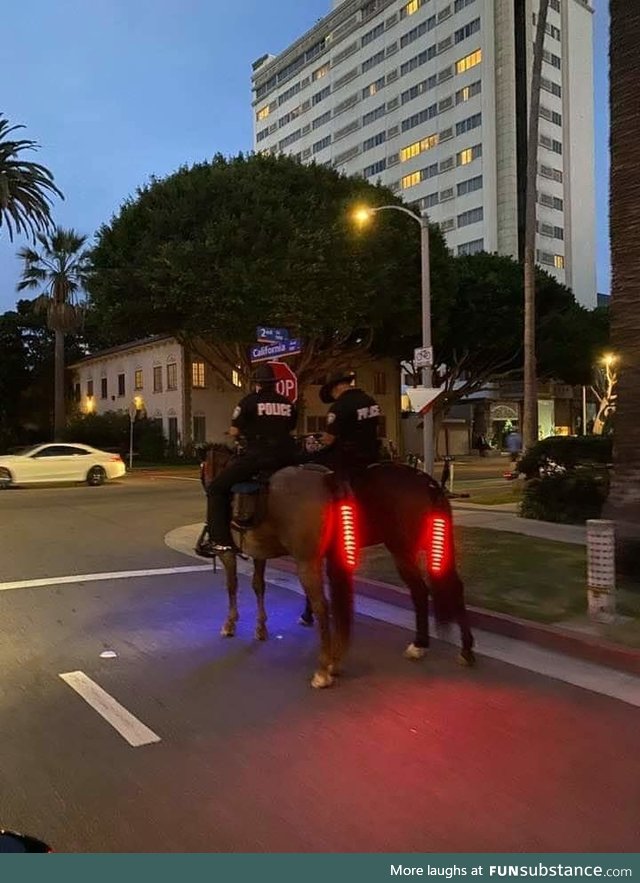 Horses with break lights