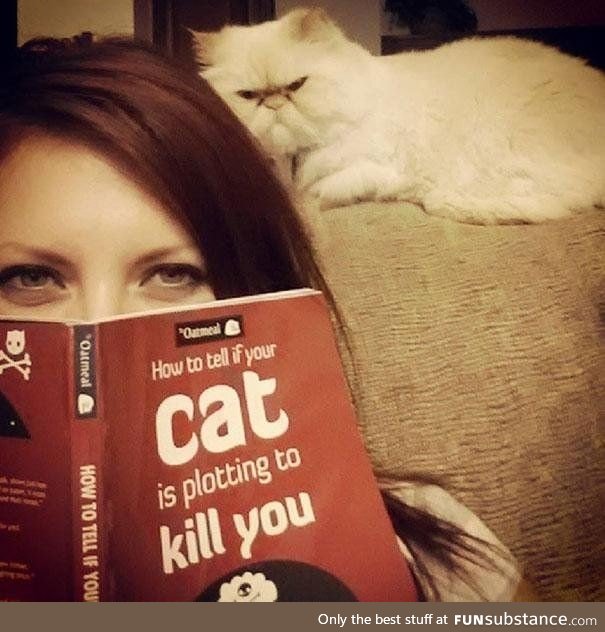 20 signs that your ....Cat is plotting to kill you! .