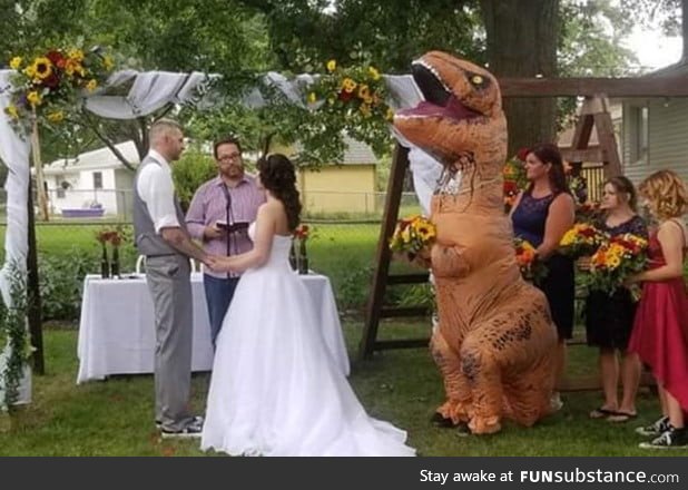 Maid of honor wears T-Rex costume after being told she could wear 'anything'
