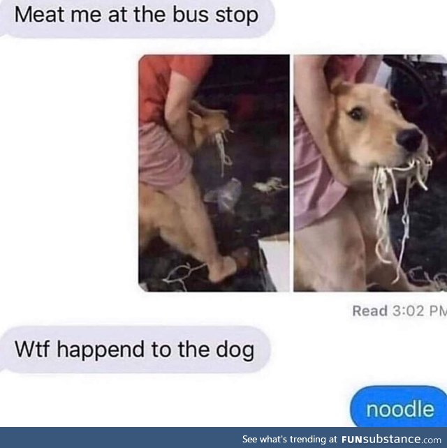 Noodle