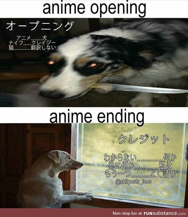 Watashi wa Doggu desu