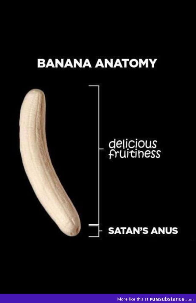 Anatomy Of A Banana