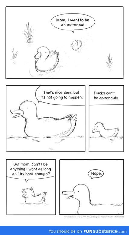 Momma duck gets real