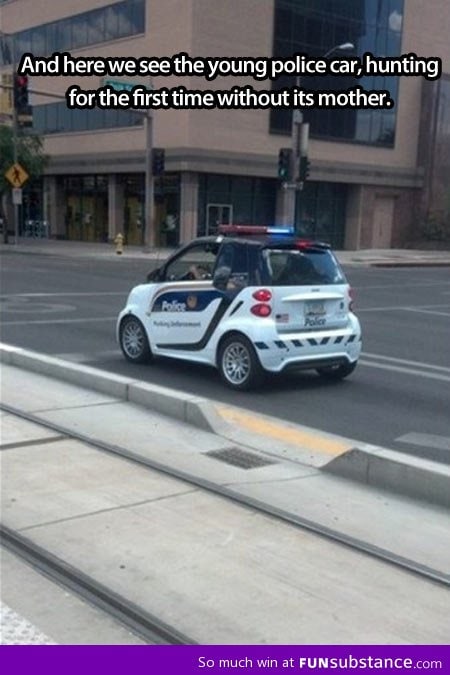 Young police car