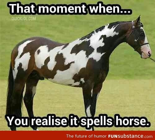 Special Horse