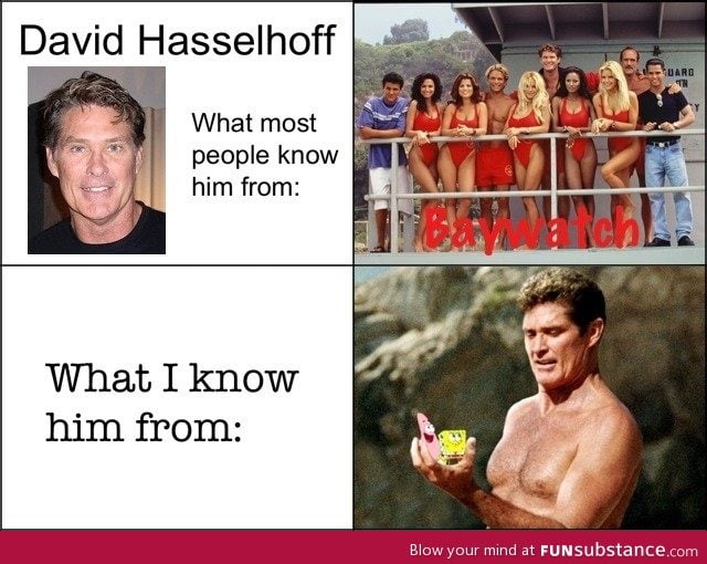 David hasselhoff