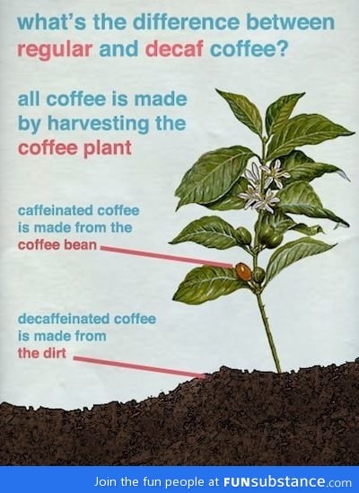 Know your coffee