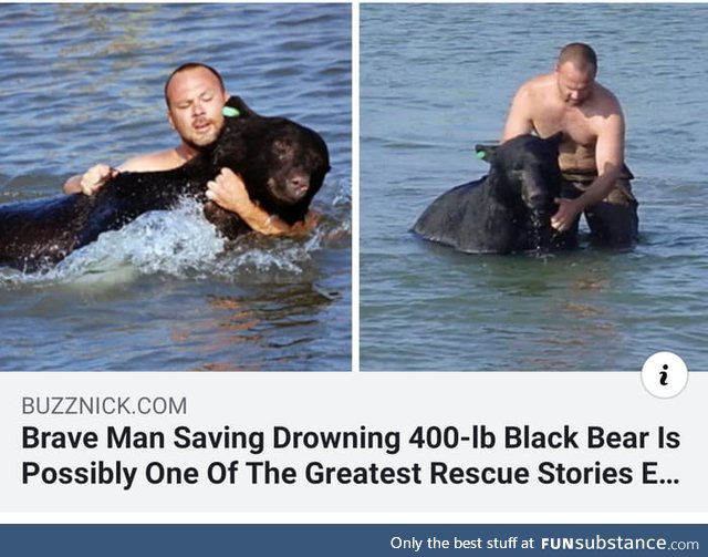 Amazing man saves bear from drowning