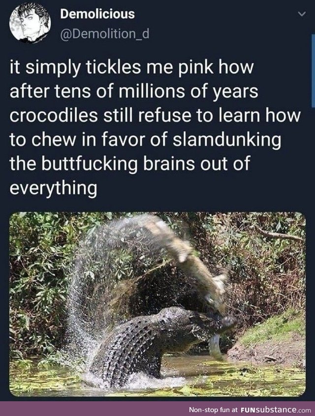 And that's why crocs are awesome