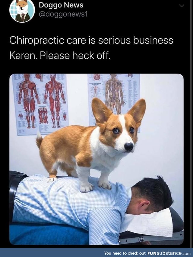 Dogtor