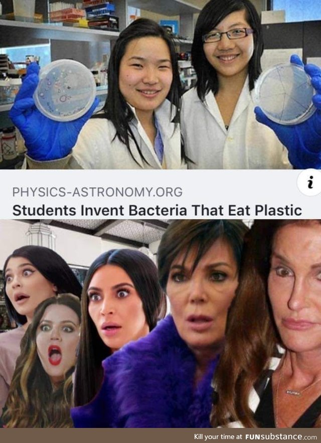 Students invent bacteria that eat plastic