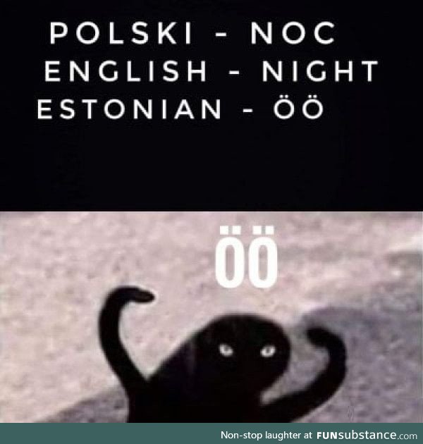 "Night" in Estonian