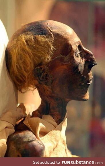 The 3300 year old Mummy of Ramses II, with his hair still intact