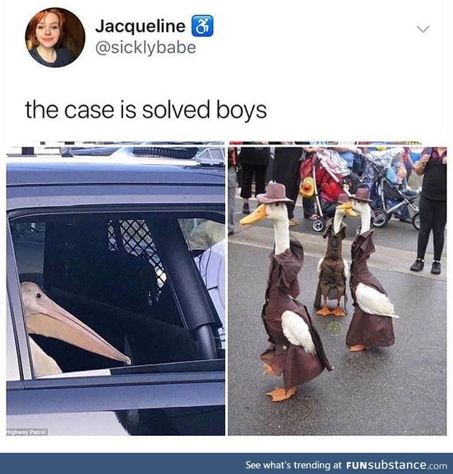 The Geese Detectives back at it again