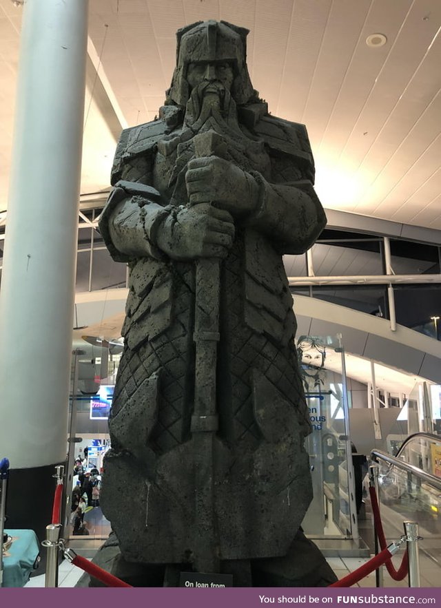 Saw this beauty before security at Auckland International Airport