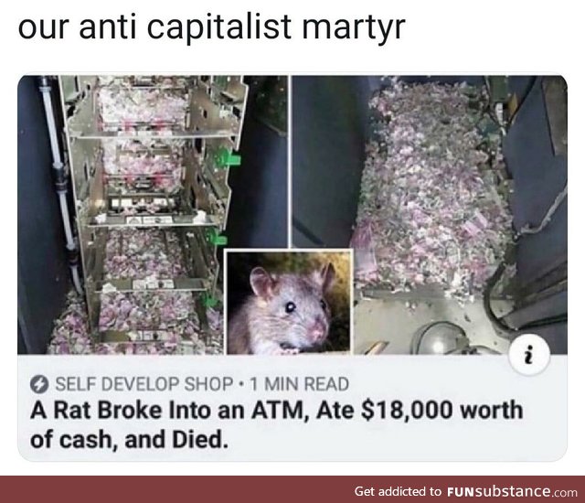 The Federal Reserve is an inside job. - A. Rat, probably