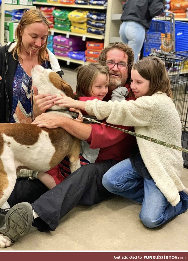 A family finds their missing dog while going to adopt a cat