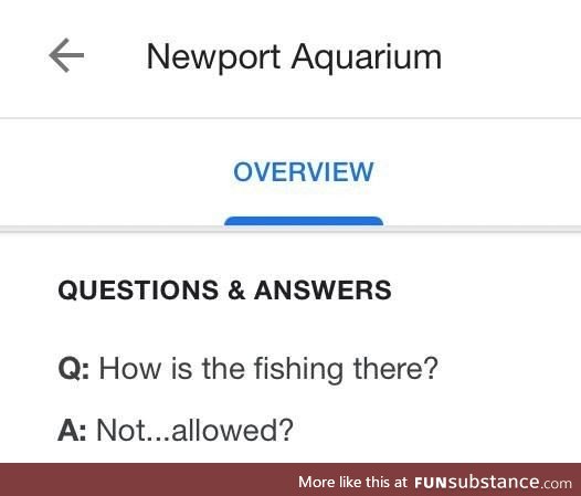 This question on an aquarium’s Google page