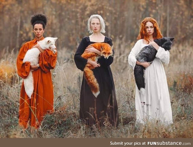 Three Shades of Foxes by Anastasiya Dobrovolskaya