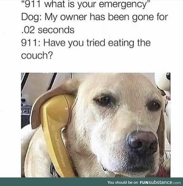 Doggy calls