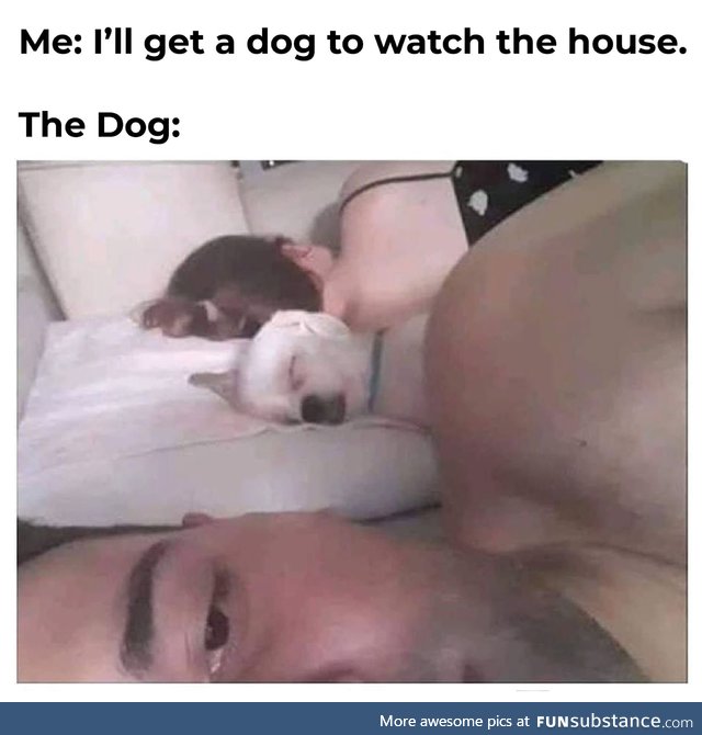 Watch dog