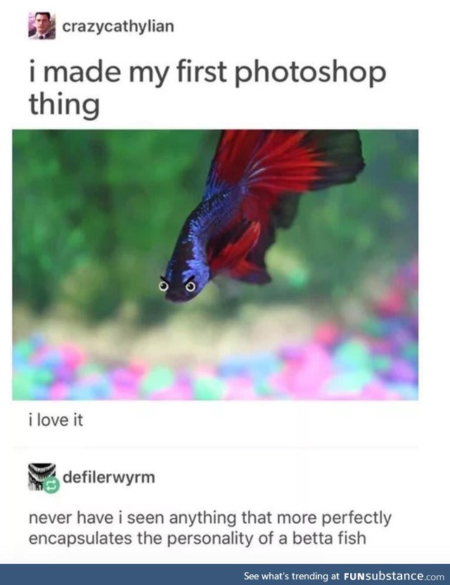 The Betta does emote