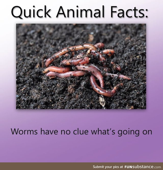 Turns out I might be a worm