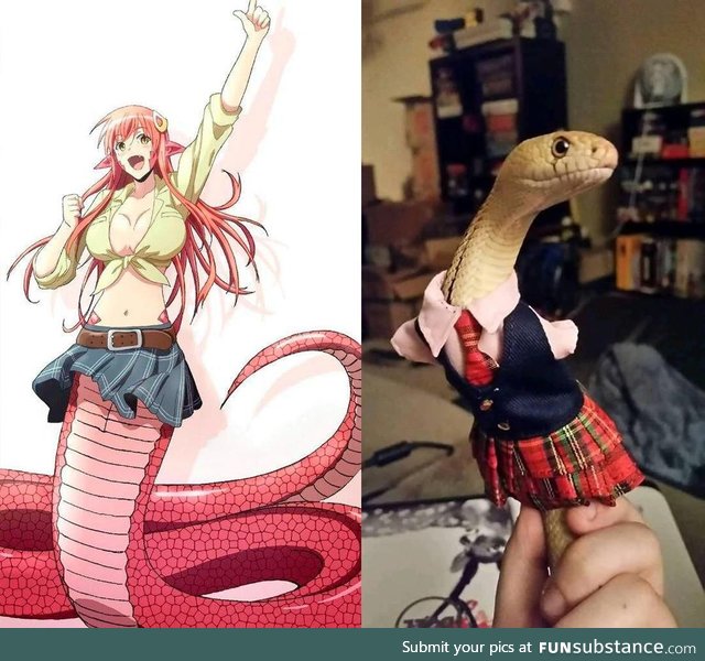 Snake cosplaying