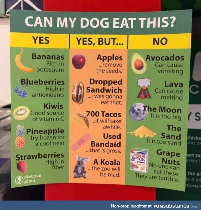 Helpful food chart for dogs