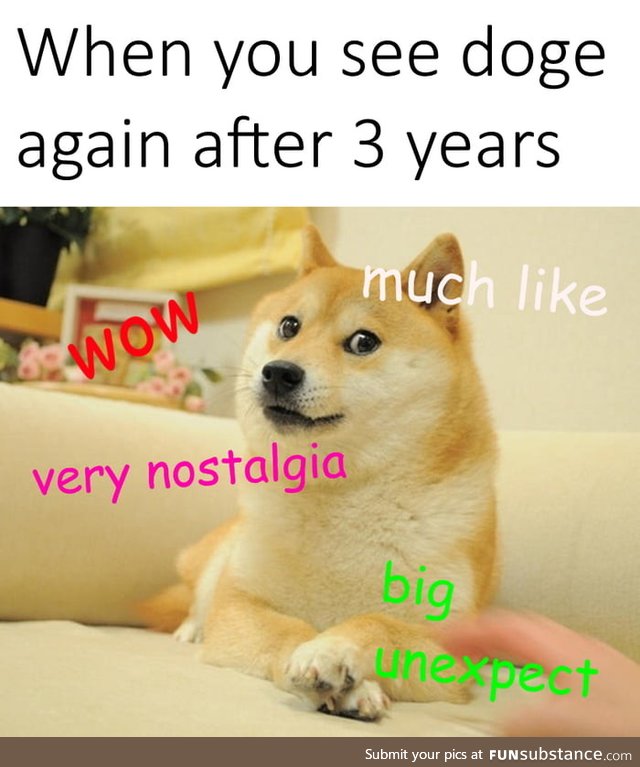 Very doge many wow