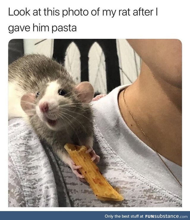 He's so happy to have pasta