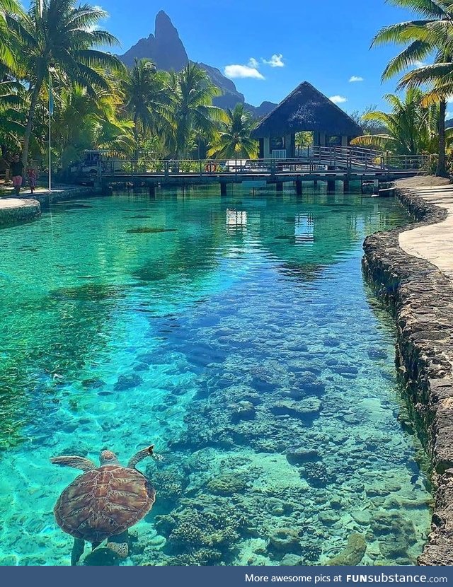 Simply Bora Bora