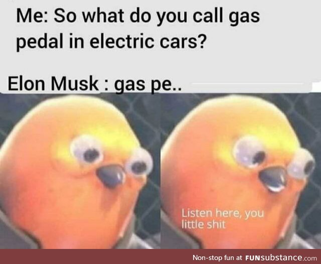 Don't mess with the Musk