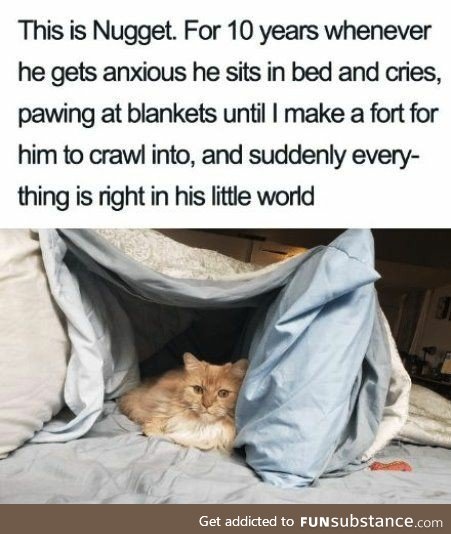 Even Nuggets Need Blanket Forts