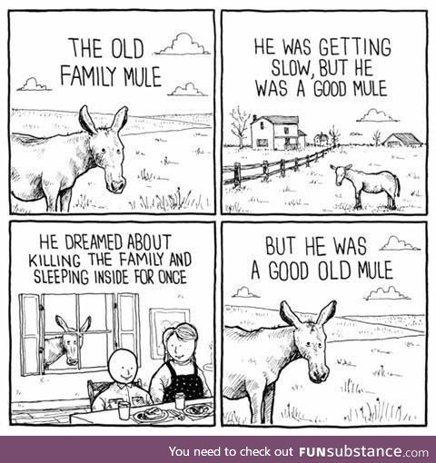 Poor old mule