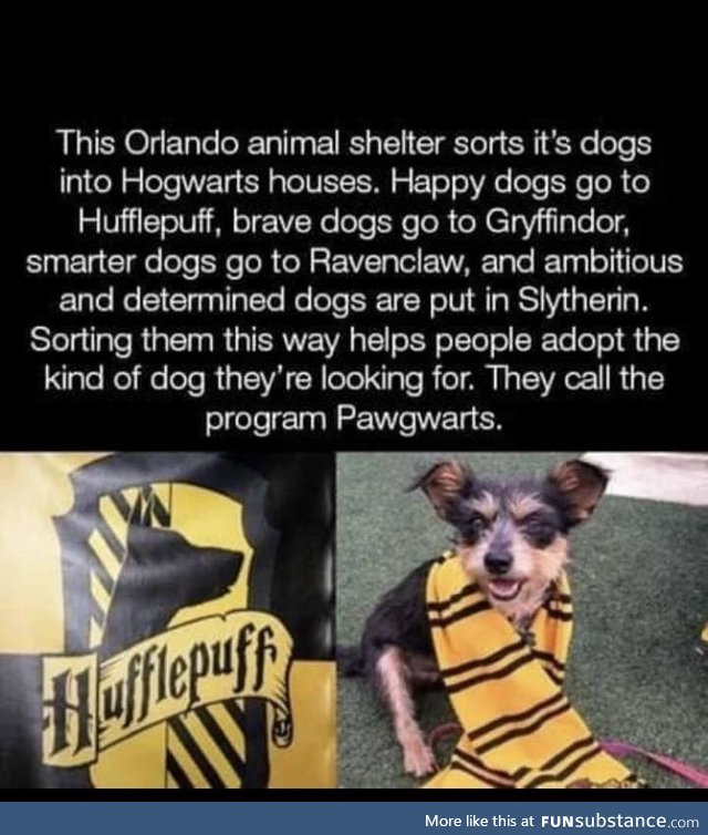All aboard the Awwwgwarts express