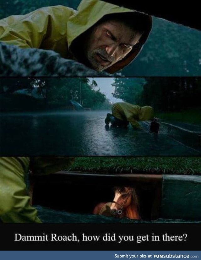 Roach&gt;Kiera&gt;Triss&gt;Yen