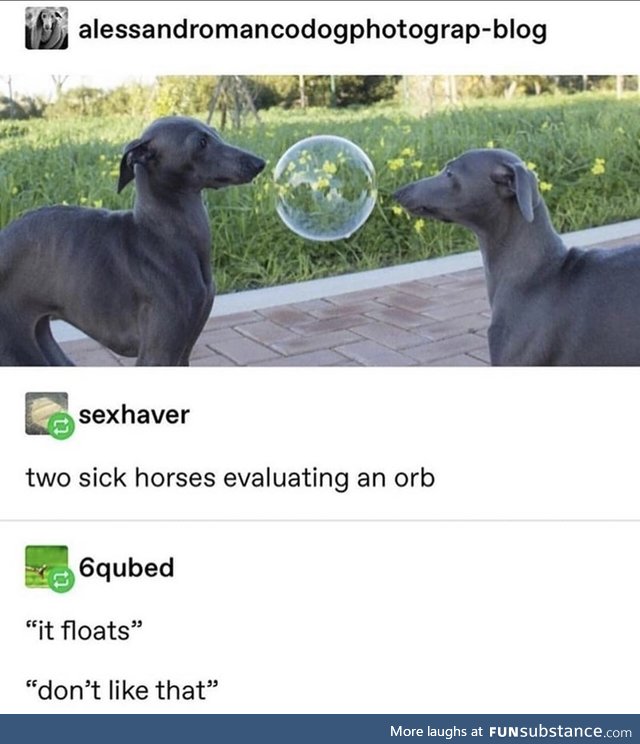 Sick horses