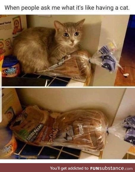 I see two loaves