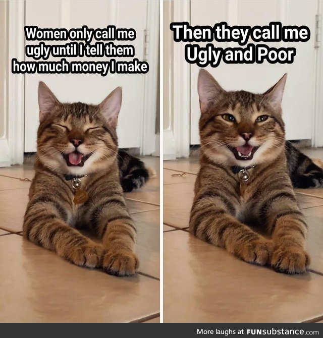 Who's laughing meow?