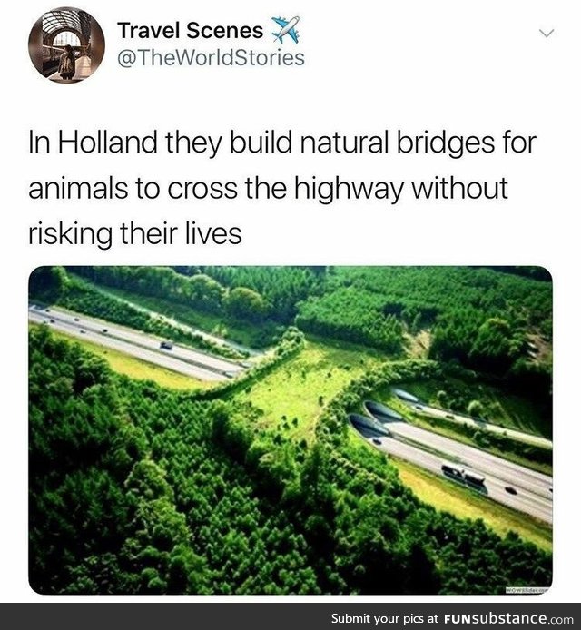 Holland Natural Animal Crossing Bridges