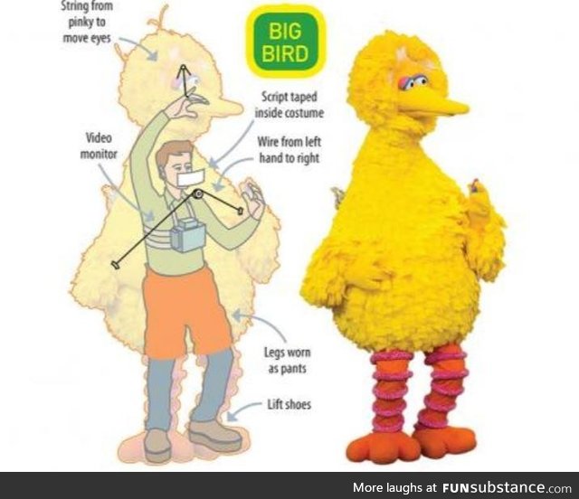 Big bird, the logisitics