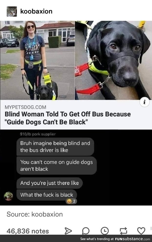 It had to be a bus
