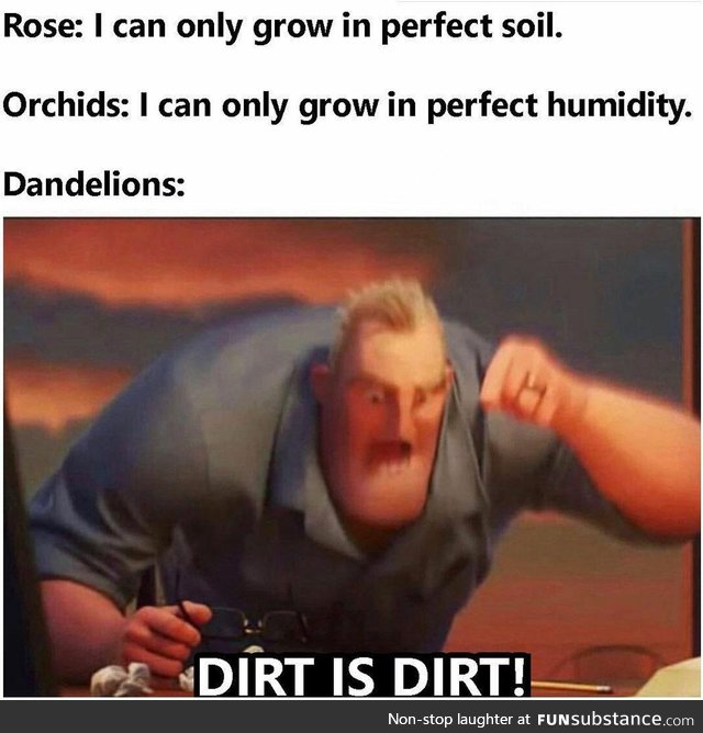 Dirty is Dandy