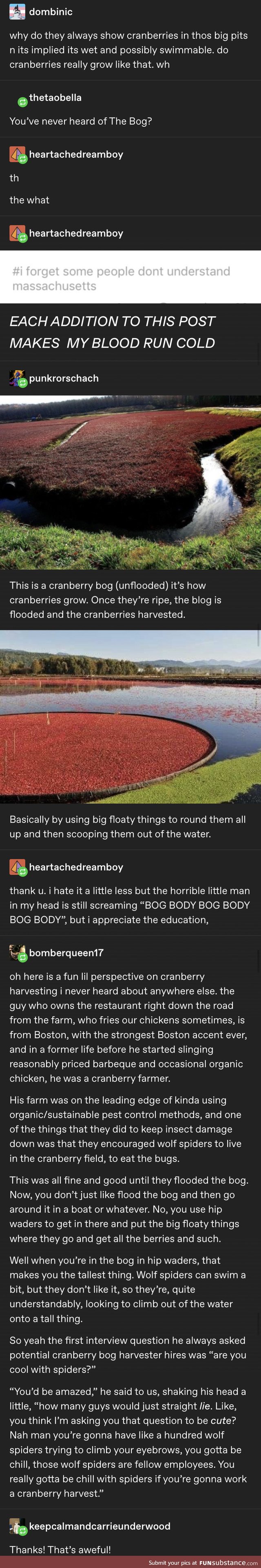 Burn the cranberry bogs