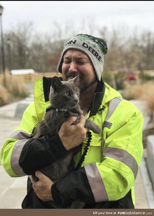 Cat lost in Ohio reunited in New York with owner thanks to microchip