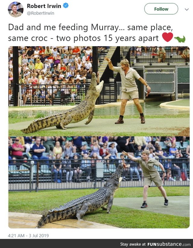 Robert and Steve Irwin feeding the same croc fifteen years apart