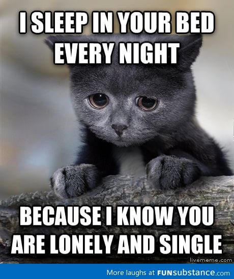 Confession cat sleeping in your bed